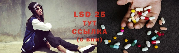 ПСИЛОЦИБИНОВЫЕ ГРИБЫ Алексин