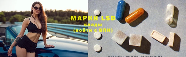 PSILOCYBIN Алзамай