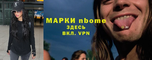 PSILOCYBIN Алзамай