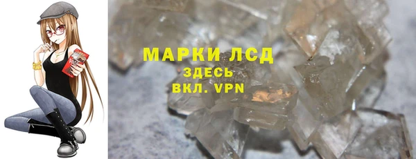 PSILOCYBIN Алзамай