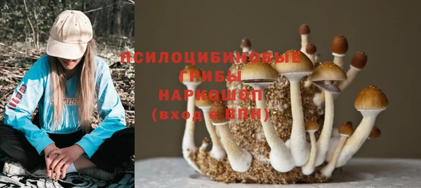 ПСИЛОЦИБИНОВЫЕ ГРИБЫ Алексин