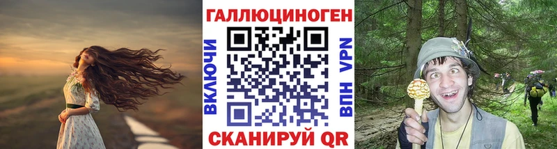 Галлюциногенные грибы Cubensis Медынь